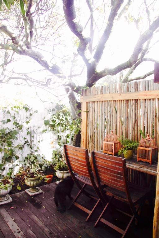 Apartament The Birdhouse Kapsztad Zewnętrze zdjęcie